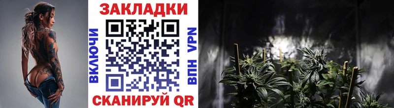 Продажа наркотиков Александров Галлюциногенные грибы МЕТАМФЕТАМИН blacksprut зеркало Каннабис