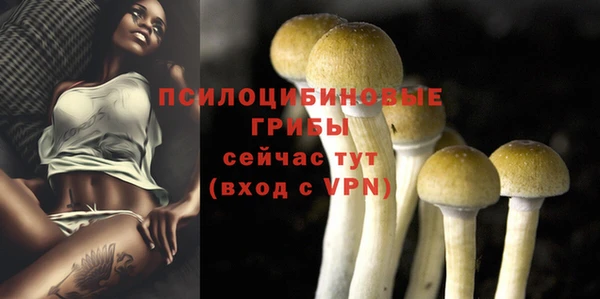 дурь Абдулино