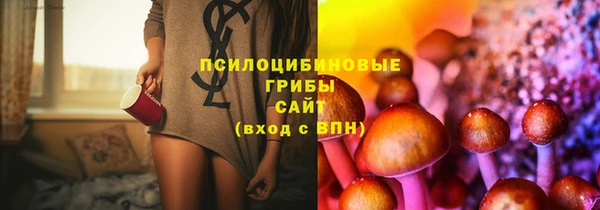 mix Абаза