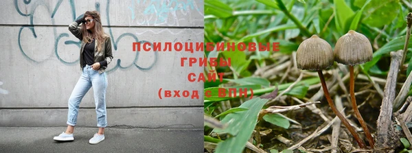 гидропоника Пересвет