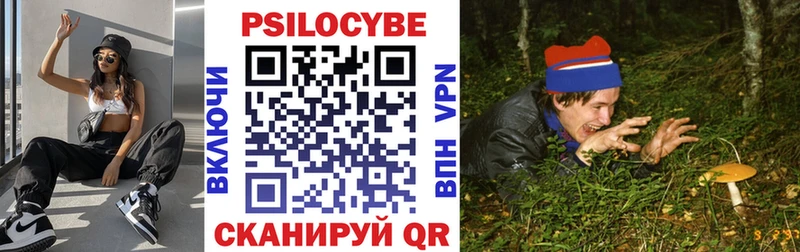 Псилоцибиновые грибы прущие грибы  дарнет шоп  Александров 