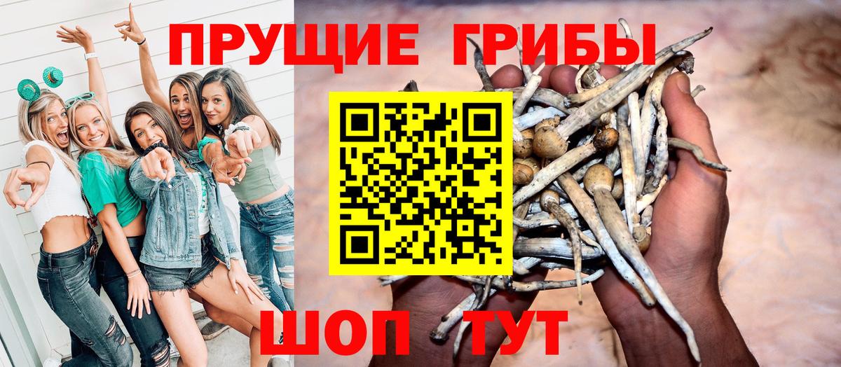 Псилоцибиновые грибы ЛСД Александров